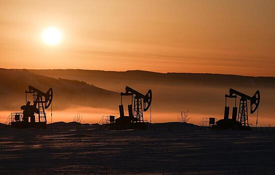 Названа причина отказа индийских НПЗ от российской нефти