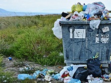 В Воронежской области с 1 июля вырастут тарифы на захоронение мусора