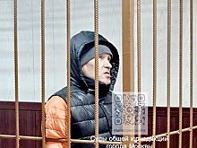 Лжеполицейский арестован по делу о мошенничестве с квартирой Долиной