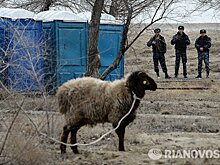 У 35 миллионов русских нет в доме туалета