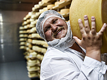 Сыр для Путина: как делают подмосковный пармезан