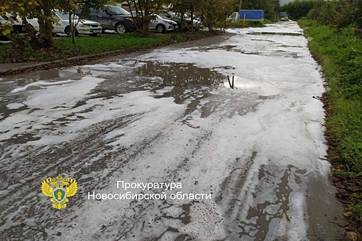 Разлив бытовой химии у станции Монолитная в Искитиме проверяет прокуратура