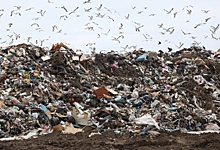 Прокуратура подала в суд на правительство Омской области из-за нехватки мусорных полигонов