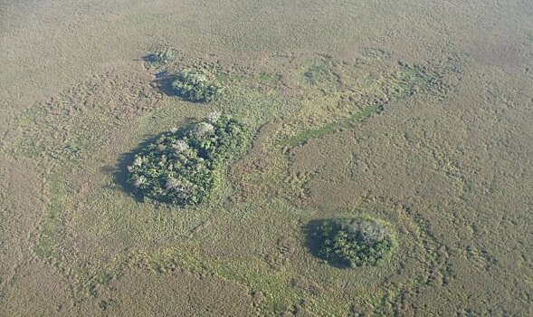 10.000 лет назад древние жители Амазонии насыпали целые острова-огороды