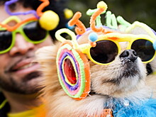 Парад собак в модных костюмах прошел в Нью-Йорке