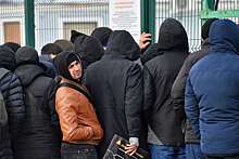 ФССП: из России за семь лет за нарушения выдворили около 200 тысяч мигрантов