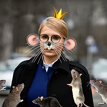 Главные крысы украинской политики: кто они?