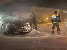 Названы последствия мощного снегопада в регионе РФ