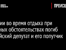 В Индии во время отдыха при странных обстоятельствах погиб российский депутат и его попутчик