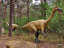 RSOS: динозавры-зауроподы могли быть яркими, как птицы