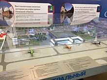 Саратовский аэропорт в начале 2019 года примет первых пассажиров