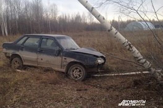 Под Пермью «Лада» вылетела с дороги и врезалась в дерево