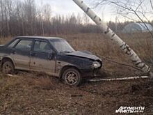 Под Пермью «Лада» вылетела с дороги и врезалась в дерево