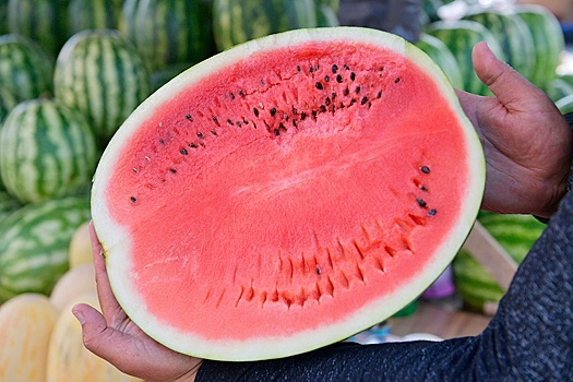 Сезон открыт: в Москву привезли арбузы из регионов