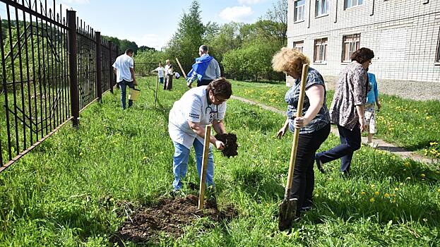 На пользу роженицам. Кедровую рощу посадили возле областной больницы на Пошехонском шоссе