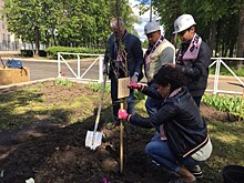 В «Лужниках» высадили деревья в честь футбольных легенд стран-участниц КК