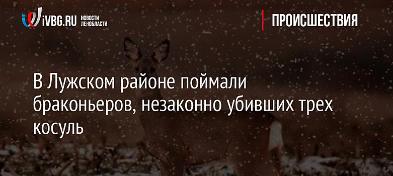 В Лужском районе поймали браконьеров, незаконно убивших трех косуль