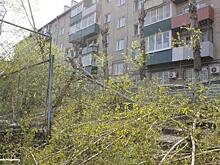 Из-за чего в Чите образуются свалки?
