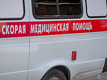 СМИ: сбившим в Новосибирске насмерть ребенка водителем оказался замдиректора школы