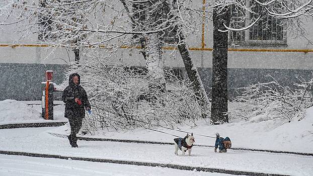 Синоптики предупредили жителей столицы о снеге 28 декабря