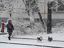 Синоптики сообщили о снежной и морозной погоде в Москве 7 января