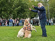 Проект «Друг, спасатель, защитник» объединил более 30 тысяч человек