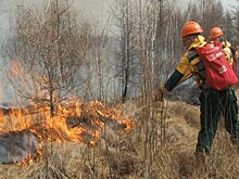 Тридцать семь лесных пожаров ликвидируют в Забайкальском крае