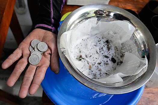 Жителям одной страны предложили платить деньги за пойманных комаров