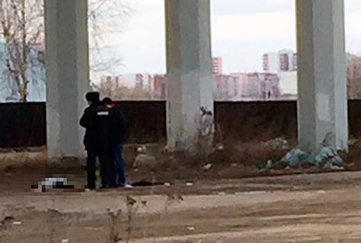 Тела трех молодых людей найдены под мостом в Москве