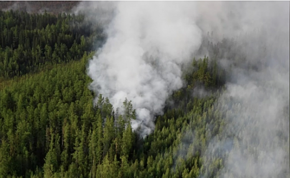 В Приангарье потушили пять лесных пожаров на площади 21 тыс. га