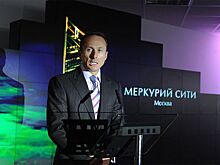 СМИ: российский миллиардер купил остров в Финляндии, построил там вертолетную площадку и озадачил военных