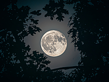 Полнолуние вызывает бессонницу: миф или правда