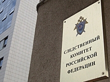 СК РФ: уголовных дел по войне на Донбассе набралось на пять тысяч томов