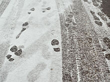 Гора снега у остановки сделала пешеходов незаметными для водителей в кузбасском городе