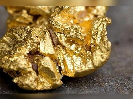 Контрабандисты пытались вывезти в Китай золота на 27 миллионов рублей
