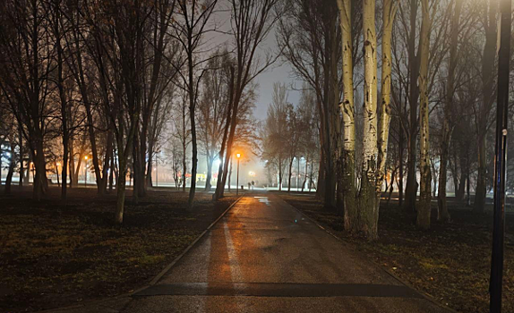 В Самарской области 4 декабря ожидается туман и гололед