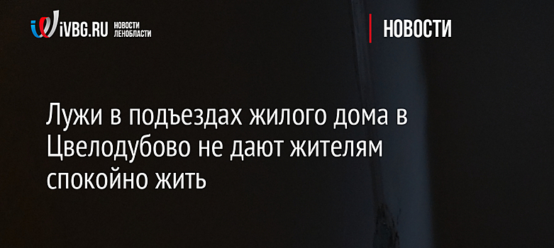 Лужи в подъезде жилого дома в Цвелодубово не дают жителям спокойно жить