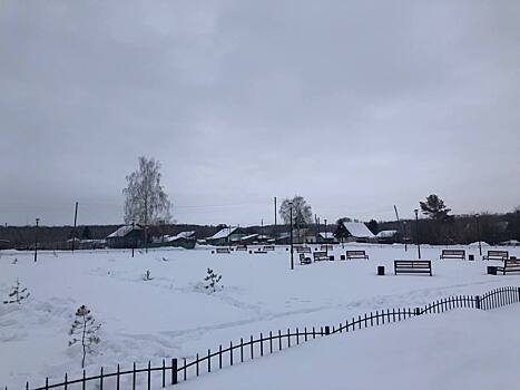 В Новосибирской области СК возбудил уголовное дело о мошенничестве при озеленении