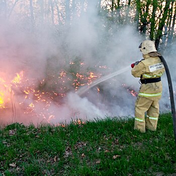 Три пожара в Железногорском районе: горела сухая трава