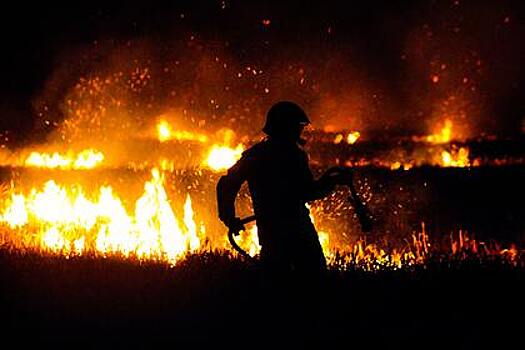 Предсказан срок прекращения лесных пожаров в России