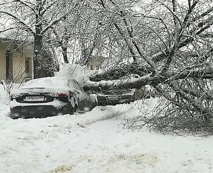 Из-за снегопада остались без света почти шесть тысяч человек