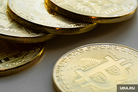 Основатель Telegram Дуров заявил, что хранит деньги в криптовалютах Bitcoin и Toncoin
