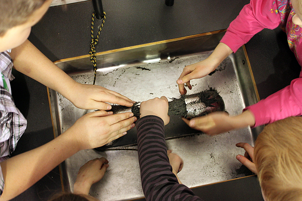 Музей «Экспериментаниум», Москва, Россия, Европа