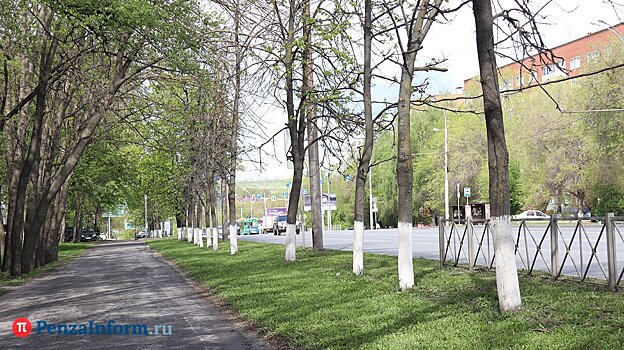 В выходные в Пензенской области будет тепло и солнечно
