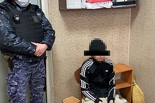 Суд арестовал двоих подростков, готовивших нападение на школу в Нижнем Новгороде