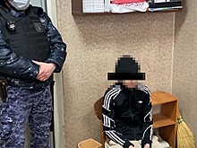 Суд арестовал двоих подростков, готовивших нападение на школу в Нижнем Новгороде