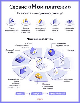 Жители столицы оплатили почти 7 млн счетов через систему быстрых платежей на портале mos.ru