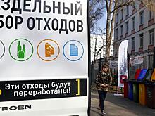«Секта Греты Тунберг» заставит россиян копаться в мусоре