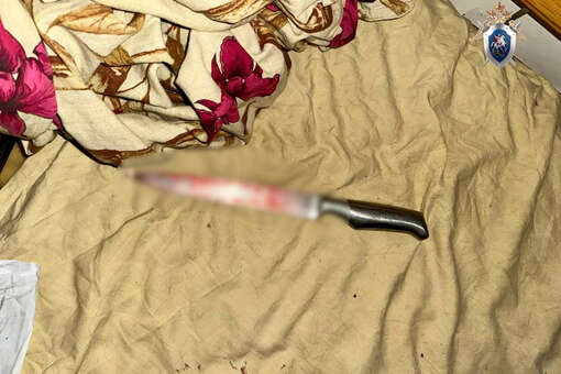 В Петербурге пьяная ссора возлюбленных закончилась поножовщиной