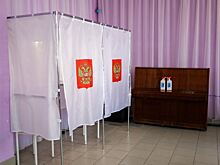 В России на выборах проголосовали свыше 45 млн человек